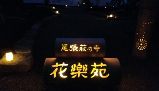 🕯️イルミネーション🕯️