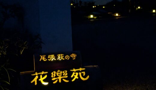 お盆期間　🕯竹灯籠とイルミネーション🕯